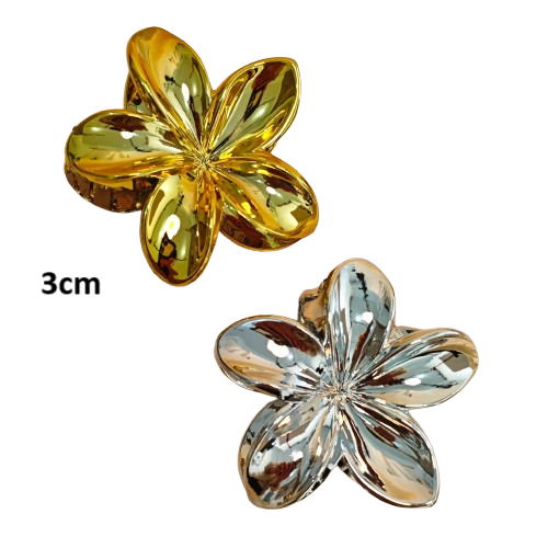 Gancho hawaiano pequeño Dorado Plateado (CAI-2964)